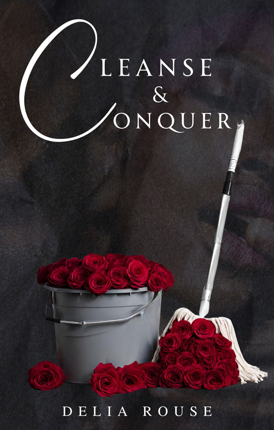 Cleanse & Conquer cover